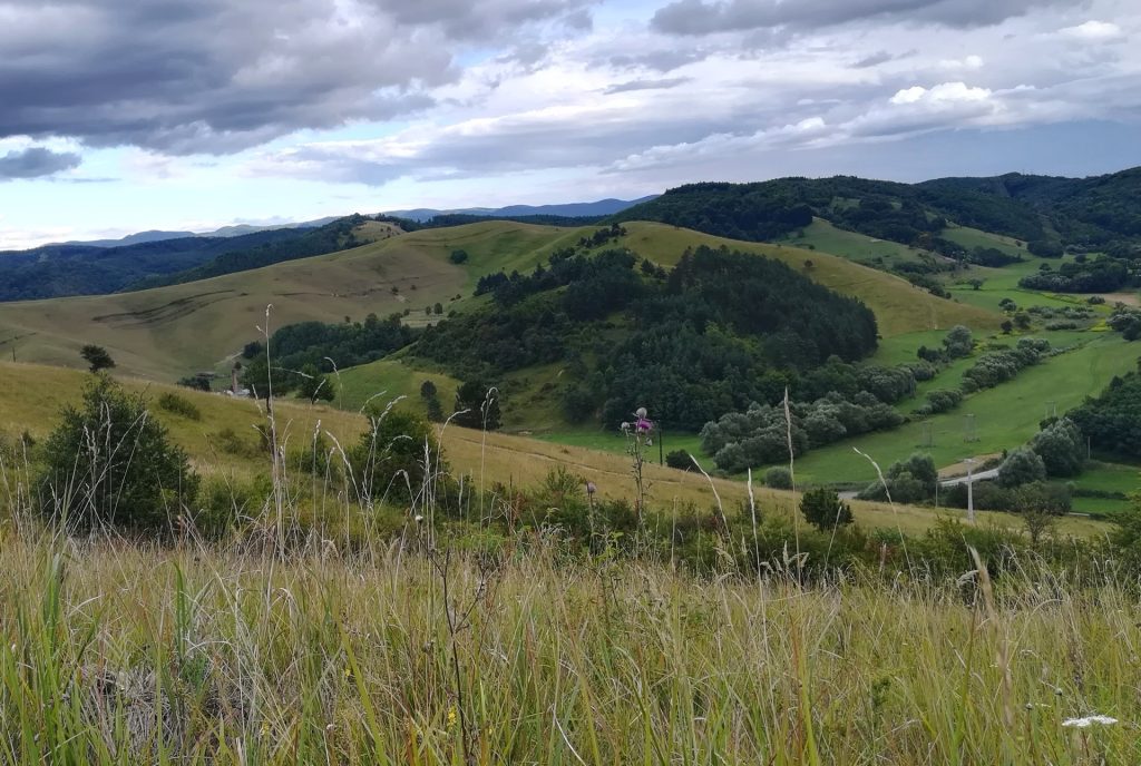 Geotúra és szarvasbőgés az Óbükkben