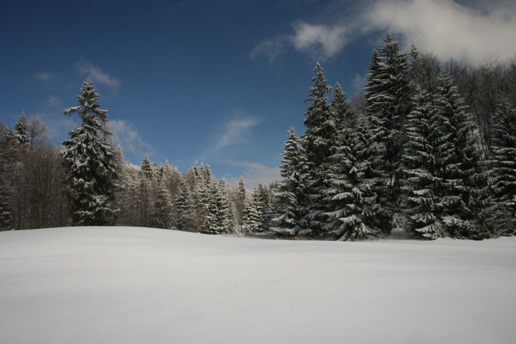 Szlovák-Paradicsom, Gerava-fennsík télen hótalppal és túrasível