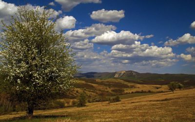 Bükkaljai kőkulTÚRA – Bátor tanösvény