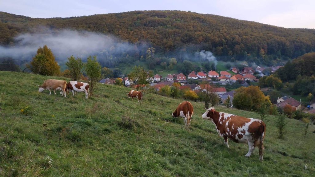 Bükk fennsíki hétvége a Hazajáróval 2022 – beszámoló 08 – Bükk-fennsíki hétvége a Hazajáróval 2022 – beszámoló