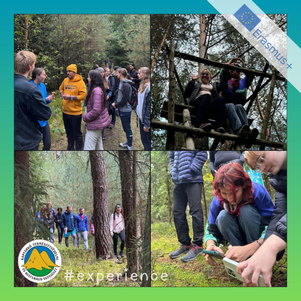 OLiS dissemination post walk in forest collage – „Our Language is Sport” Erasmus+ Ifjúsági csereprogram – élménybeszámoló