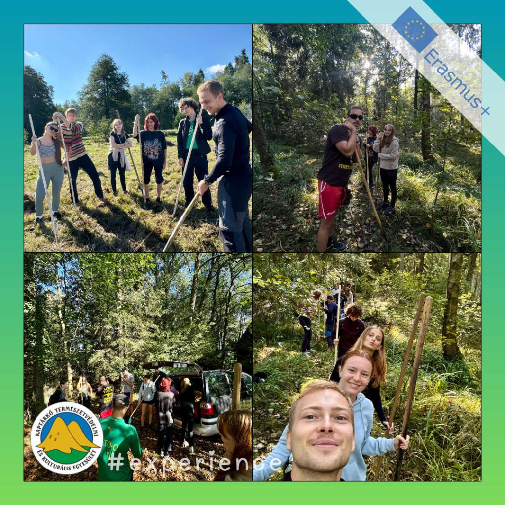 OLiS dissemination post volunteering – „Our Language is Sport” Erasmus+ Ifjúsági csereprogram – élménybeszámoló