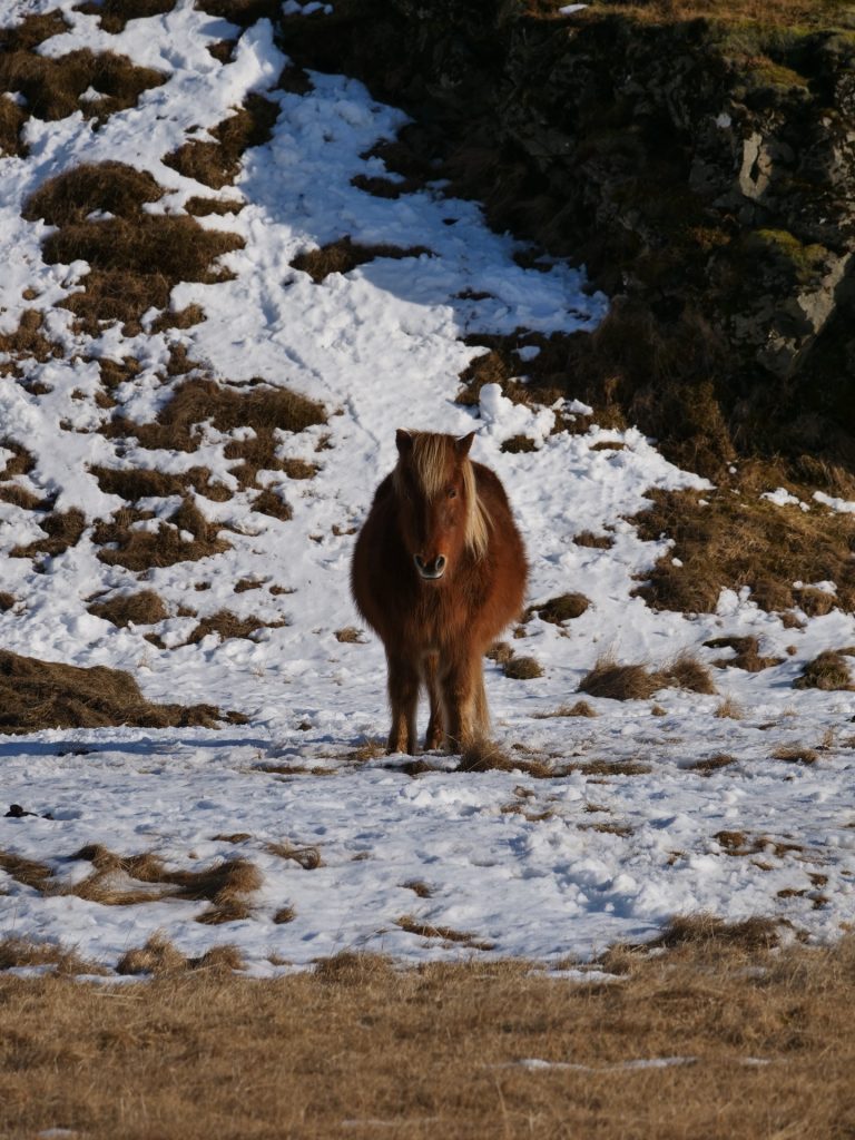 Paci – Beszámoló az “Earth in Focus” izlandi Erasmus+ ifjúsági csereprogramról